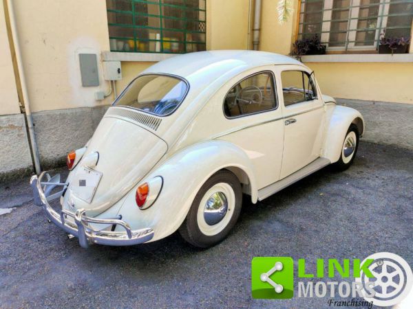 Volkswagen Maggiolino 1200 Export "Dickholmer" 1963 33533