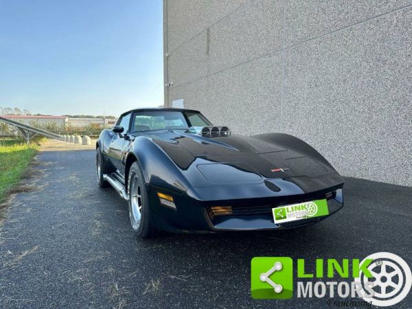 Chevrolet Corvette Sting Ray 1980 107022