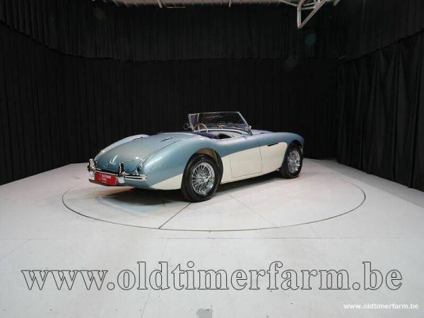 Austin-Healey 100/4 (BN1) 1954