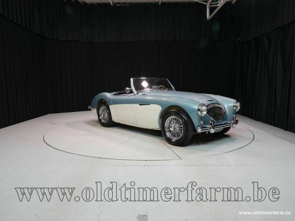 Austin-Healey 100/4 (BN1) 1954 36421