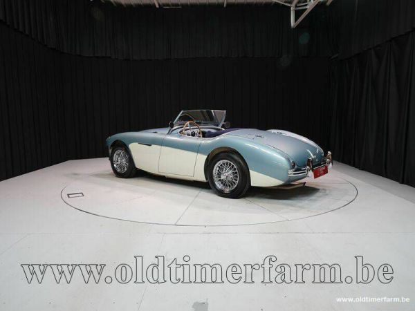 Austin-Healey 100/4 (BN1) 1954 36422