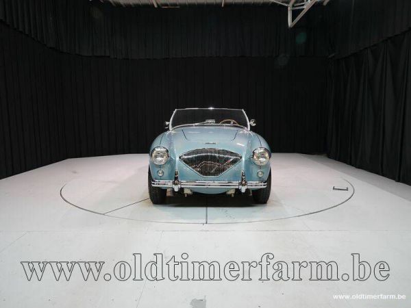 Austin-Healey 100/4 (BN1) 1954 36423