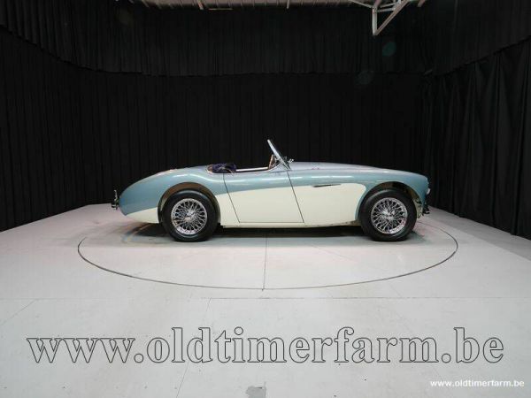 Austin-Healey 100/4 (BN1) 1954 36424