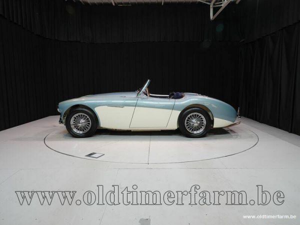 Austin-Healey 100/4 (BN1) 1954 36426