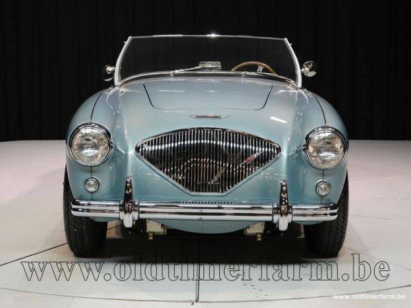 Austin-Healey 100/4 (BN1) 1954 36427