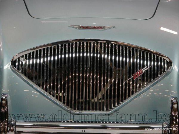 Austin-Healey 100/4 (BN1) 1954 36428