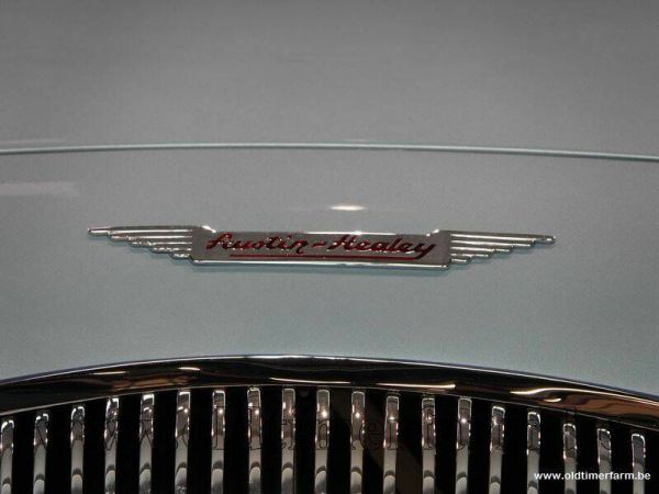 Austin-Healey 100/4 (BN1) 1954 36429