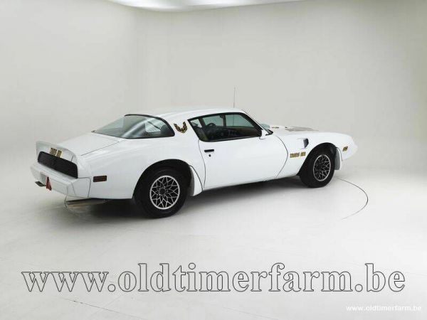 Pontiac Firebird Turbo TransAm 1981