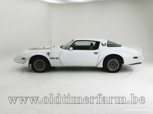 Pontiac Firebird Turbo TransAm 1981 38205