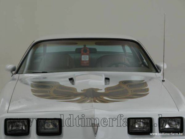 Pontiac Firebird Turbo TransAm 1981 38207