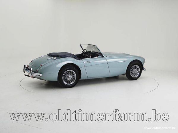 Austin-Healey 100/6 (BN4) 1958