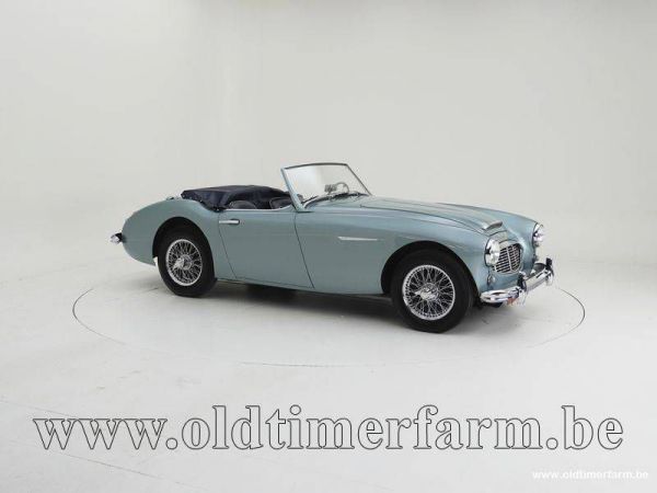 Austin-Healey 100/6 (BN4) 1958 38473