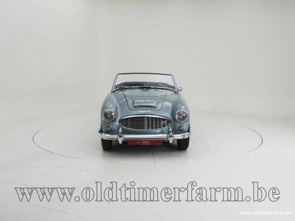 Austin-Healey 100/6 (BN4) 1958 38475