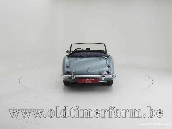 Austin-Healey 100/6 (BN4) 1958 38477