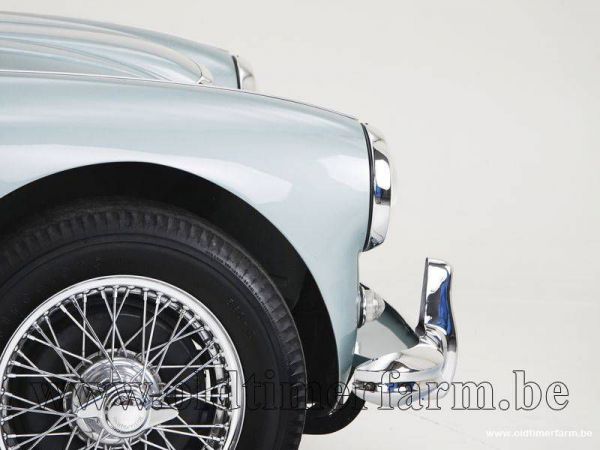 Austin-Healey 100/6 (BN4) 1958 38481