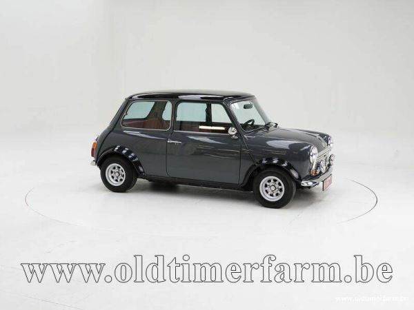 Mini 1000 1983 80142