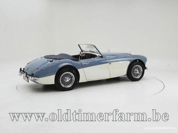 Austin-Healey 100/6 (BN4) 1959