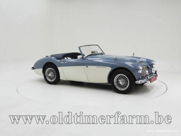 Austin-Healey 100/6 (BN4) 1959 99936