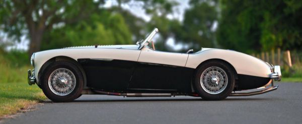 Austin-Healey 100/4 (BN2) 1956 45090