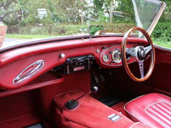 Austin-Healey 100/6 (BN4) 1957 10175