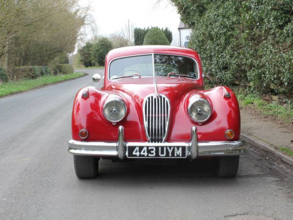 Jaguar XK 140 SE FHC 1955