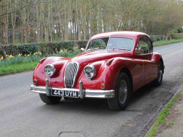 Jaguar XK 140 SE FHC 1955 10442