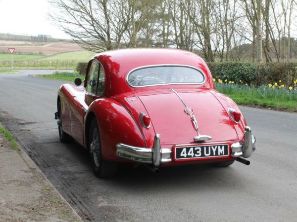 Jaguar XK 140 SE FHC 1955 10443