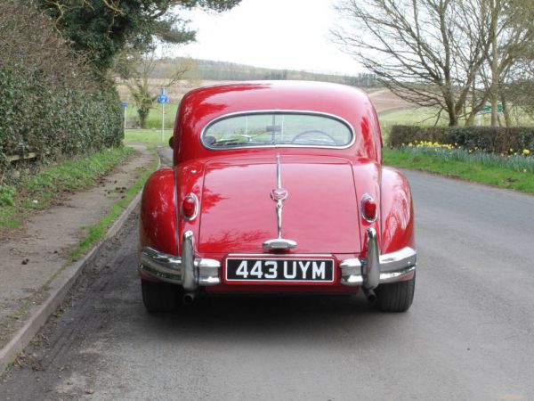 Jaguar XK 140 SE FHC 1955 10444