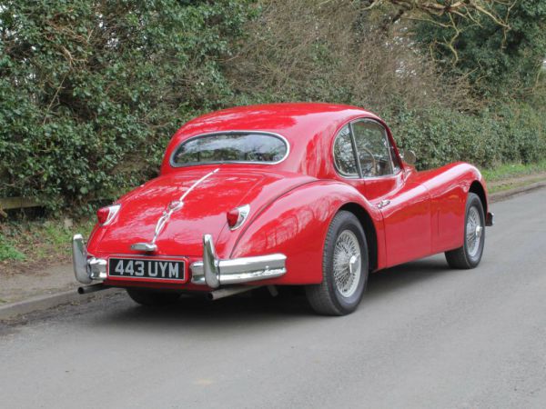 Jaguar XK 140 SE FHC 1955 10445