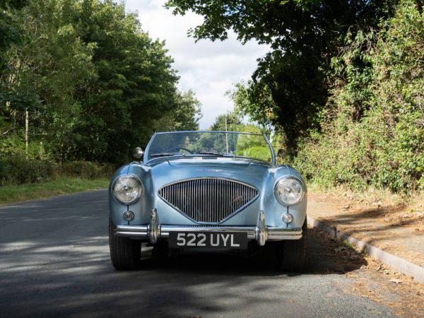 Austin-Healey 100/4 (BN1) 1954