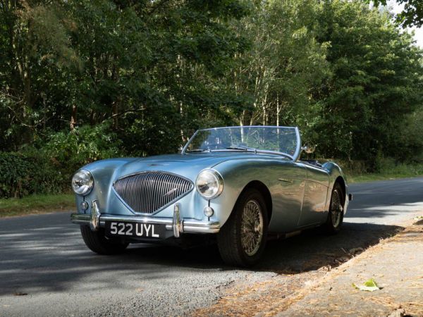 Austin-Healey 100/4 (BN1) 1954 99420