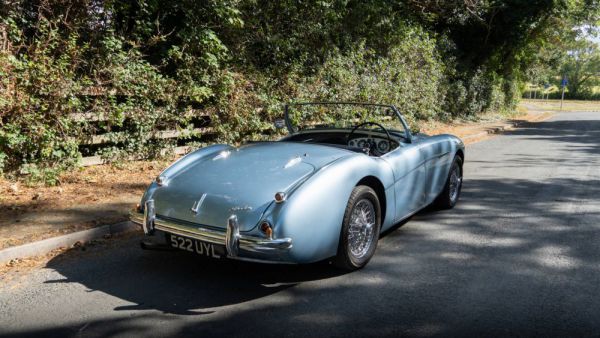 Austin-Healey 100/4 (BN1) 1954 99421