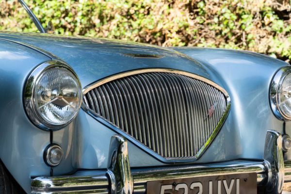 Austin-Healey 100/4 (BN1) 1954 99426