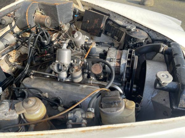 Daimler V8-250 1967 31279