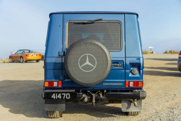 Mercedes-Benz 300 GD (LWB) 1989 31428