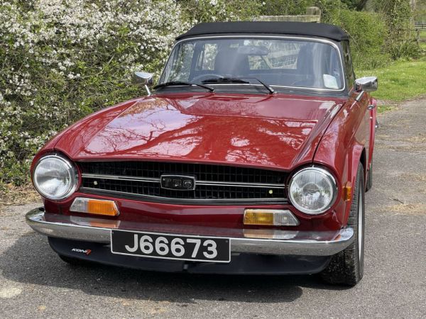 Triumph TR 6 PI 1975 31548