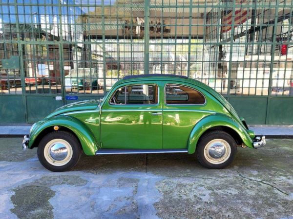 Volkswagen Maggiolino 1200 Export "Oval" 1956