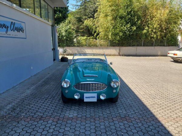 Austin-Healey 100/6 (BN4) 1957 55752