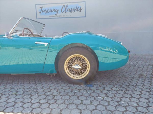 Austin-Healey 100/6 (BN4) 1957 55758