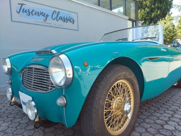 Austin-Healey 100/6 (BN4) 1957 55760