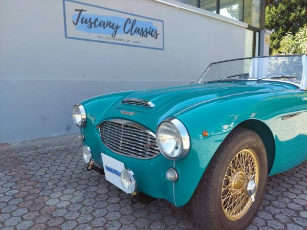 Austin-Healey 100/6 (BN4) 1957 55764