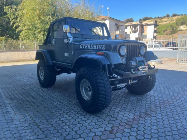 Jeep CJ-7 1979 77859