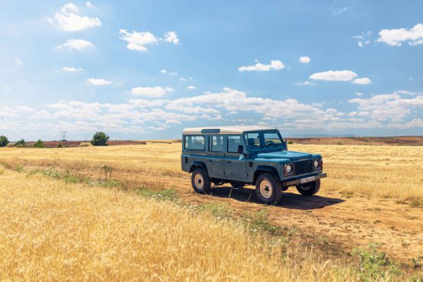 Land Rover Defender 110 1995 48106