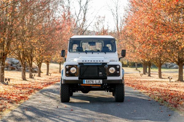 Land Rover Defender 90 1994