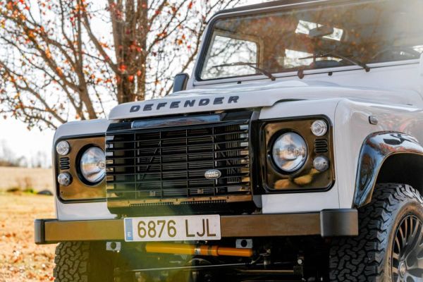 Land Rover Defender 90 1994 106001