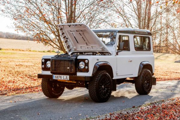 Land Rover Defender 90 1994 106008