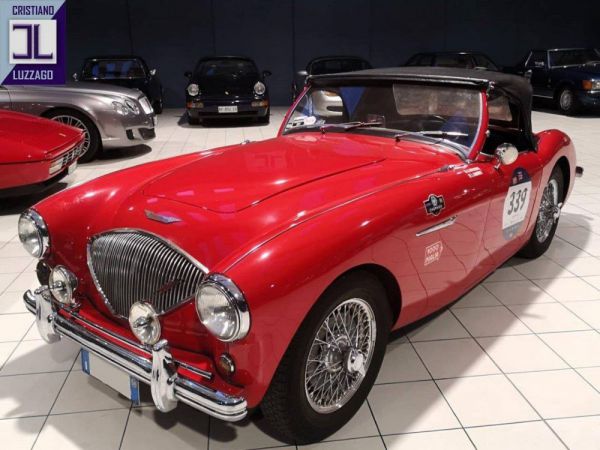 Austin-Healey 100/4 (BN1) 1954 5792