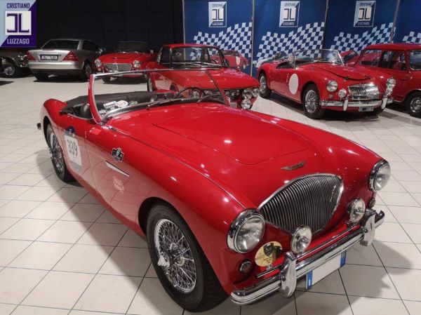 Austin-Healey 100/4 (BN1) 1954 5793