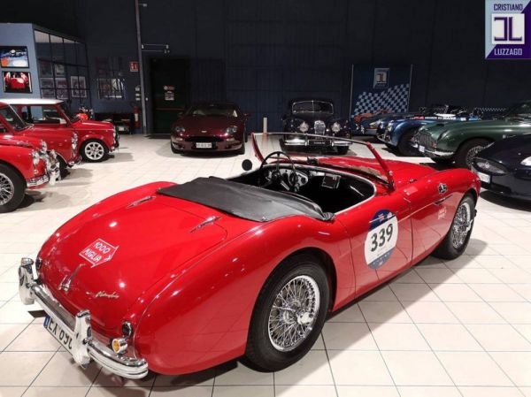 Austin-Healey 100/4 (BN1) 1954 5795