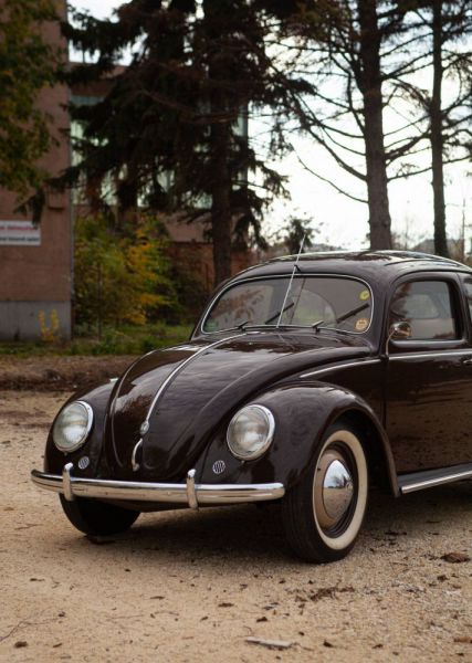 Volkswagen Maggiolino 1100 Export (Brezel) 1952 88895